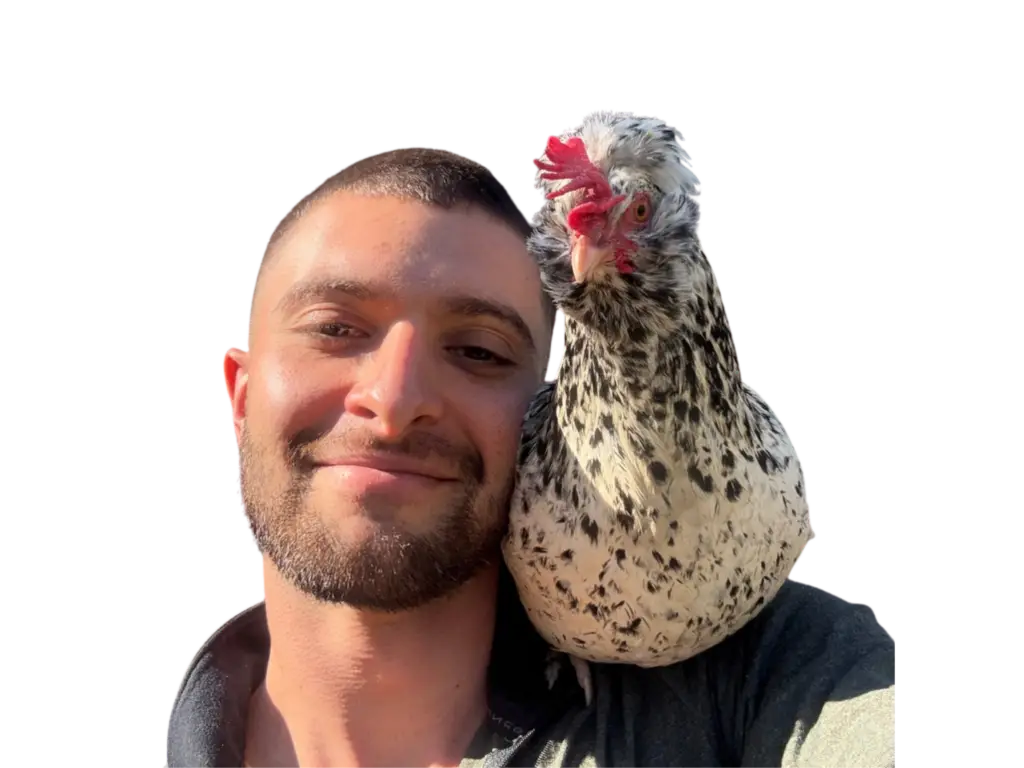 aivree